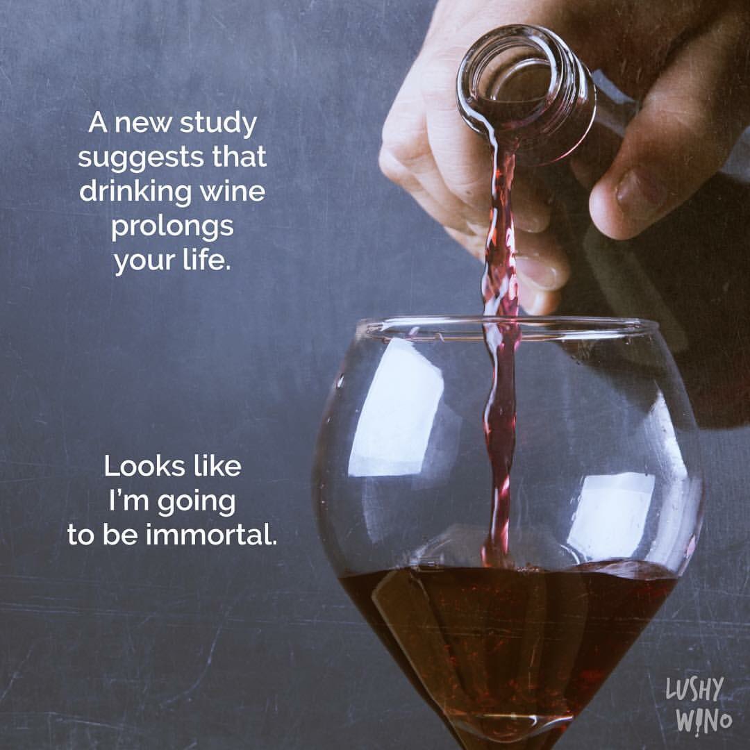 doplut's tweet photo. RT @: Cheers to #winewednesday @suziday123 @MoMo_SanDiego @Rockyourmessage @CattMcCreary  @CattMcCreary @HighheelsDes @KKEntGroup @always... https://t.co/IUT1tWyMWC