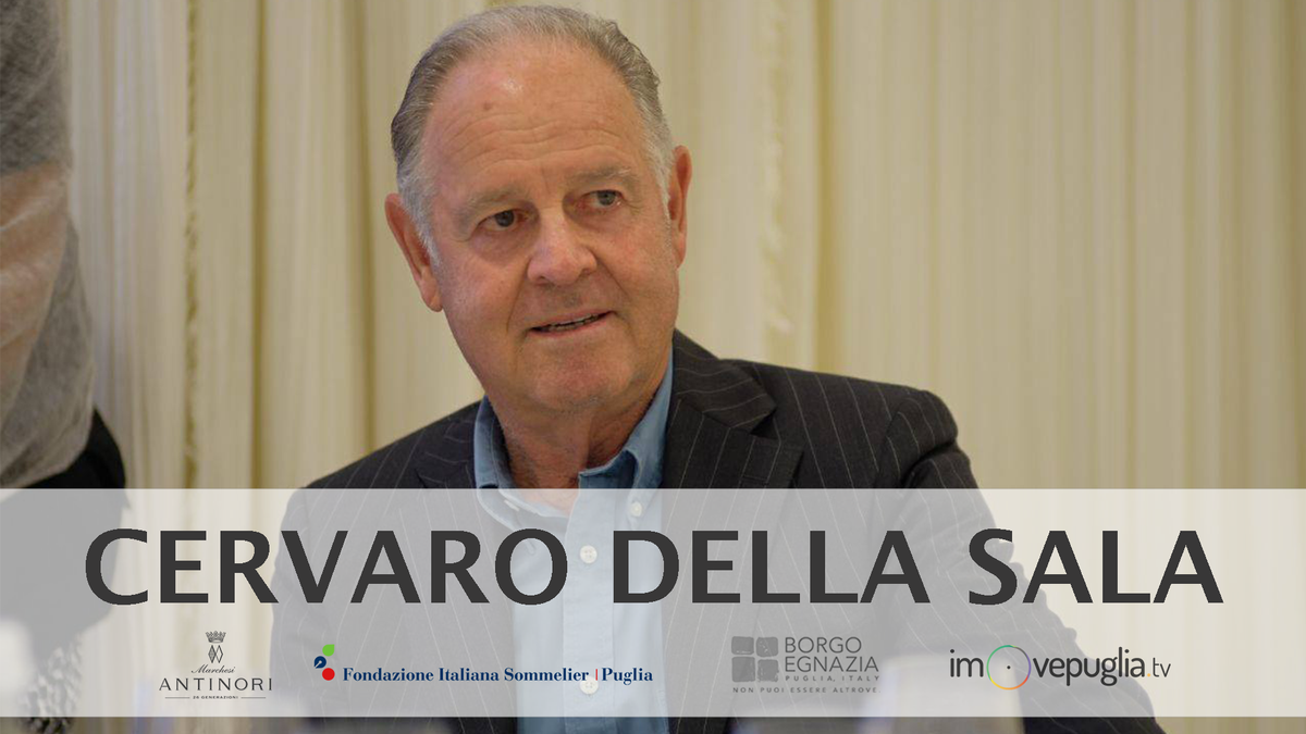 imovepuglia's tweet photo. [VIDEO] Verticale storica #CervarodellaSala a #BorgoEgnazia con #FISPuglia > https://t.co/Sop3Cmdpc9 #Puglia #winelovers #MarchesiAntinori https://t.co/On4GVOEfAg