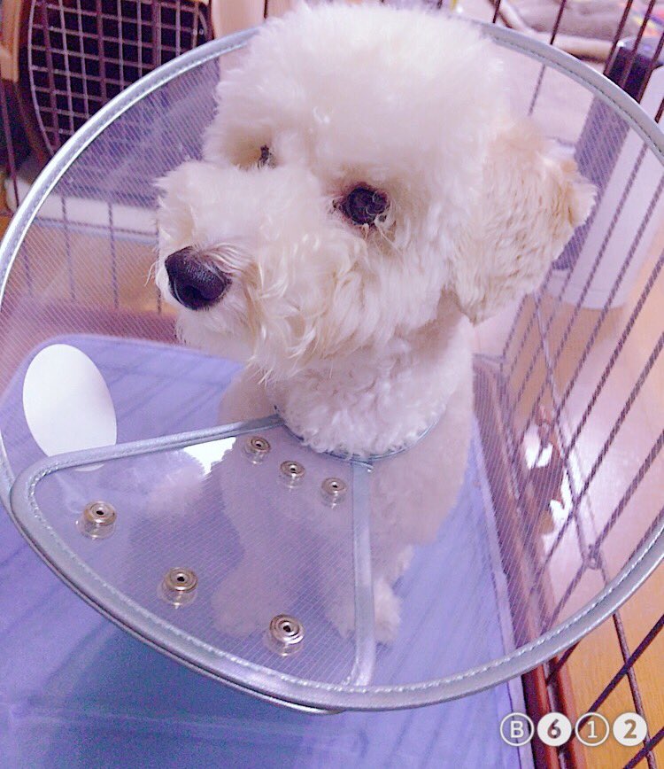 プロフィール見てほしい (@2e4d041056cd4b7) / Twitter プロフィール見てほしい (@2e4d041056cd4b7) / Twitter
