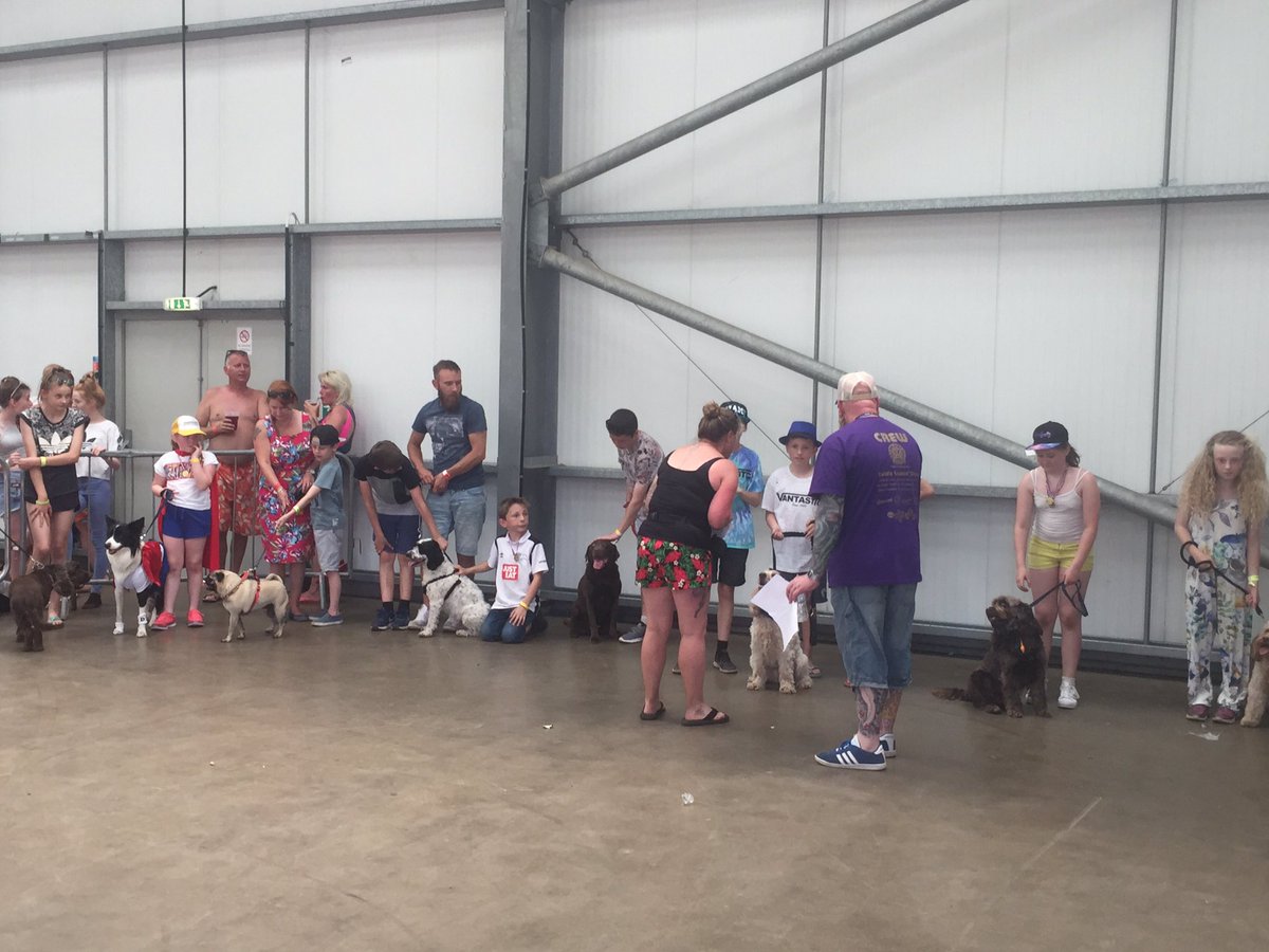 StopOverShows's tweet image. 