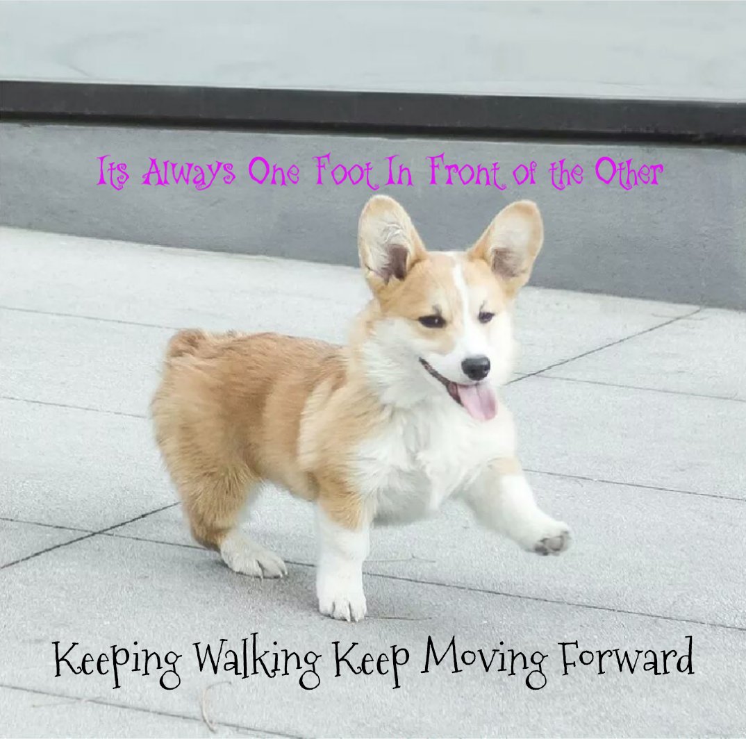 EOEAngelsNJNY's tweet photo. #WordsofWisdombyNathanWest #WordsOfWisdom
@eastofeli @johannfrank @wrighteousj
Your admin need these 2 day... #keepmoving @chy_leigh https://t.co/86JFj2UJxI