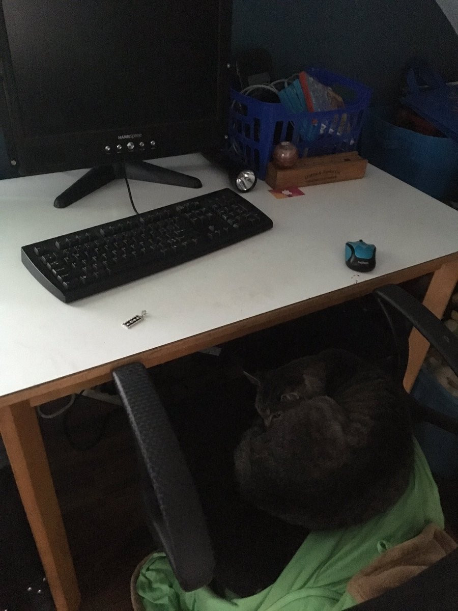 DenverTheCat67's tweet photo. https://t.co/t6B13BwdVW