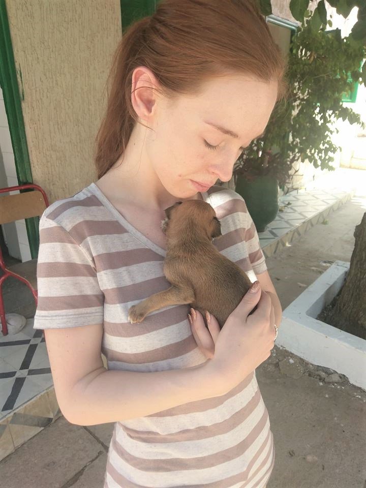 TheMaQuirl's tweet photo. An anniversary with a difference. https://t.co/nJU9lcjceF https://t.co/oLraSSMXw4