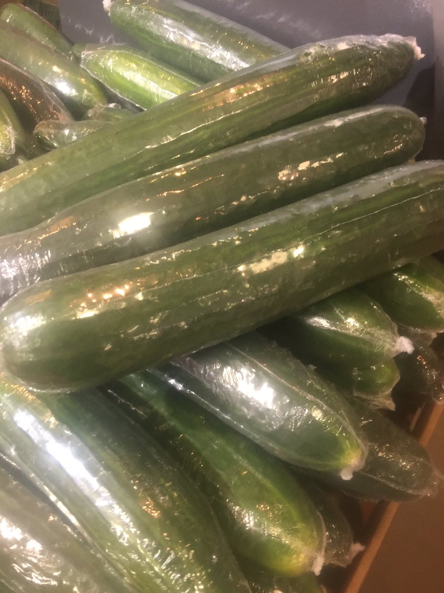 Extra large Ontario English Cucumbers on sale today for $1 each#Supportlocalgrowers