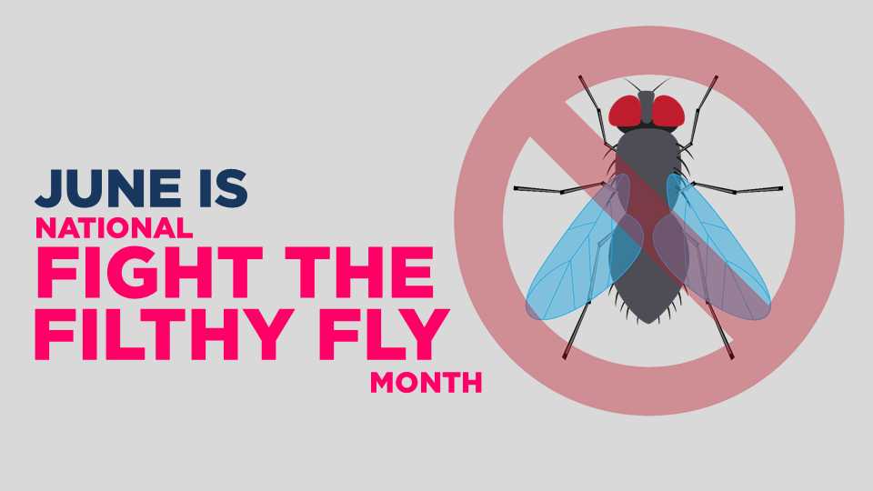 greater_ws's tweet photo. June is #FightTheFilthyFlyMonth! Chamber members specializing in pest control include: @PestDefense @TheOrkinMan @RayPestControl https://t.co/ekTm9YdAJu