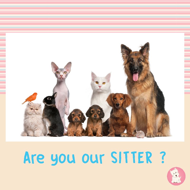 whatspup_'s tweet photo. Is your heart &amp; home open to unconditional love? Become a pet sitter with us &amp; care for as many furry friends as possible. #TendAFurryFriend https://t.co/NOsusCF4zV