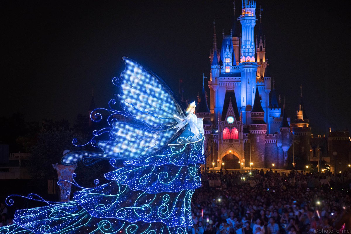 Megu Di Twitter Electrical Parade Cinderella Castle シンデレラ城を背景に観るエレクトリカルパレード 大人も子供もワクワクする光の魔法に包まれる夜のディズニーランドが大好きです