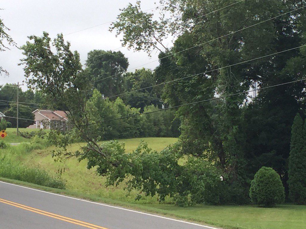 weaverwealthnc's tweet image. And here is the reason for the power outage in the vicinity of Mayes Rd @TownofDavidson @DukeEnergy #treefell