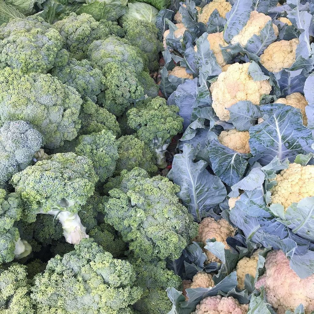 comofarmers's tweet photo. Check out these beautiful heads of broccoli and cauliflower from #theveggiepatch! Come on out and shop with us for… https://t.co/Bolh54F7su https://t.co/cPRElqrCq3