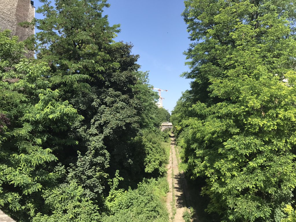 olivpetit's tweet image. Dans quelle grande ville française se trouve cet endroit ?