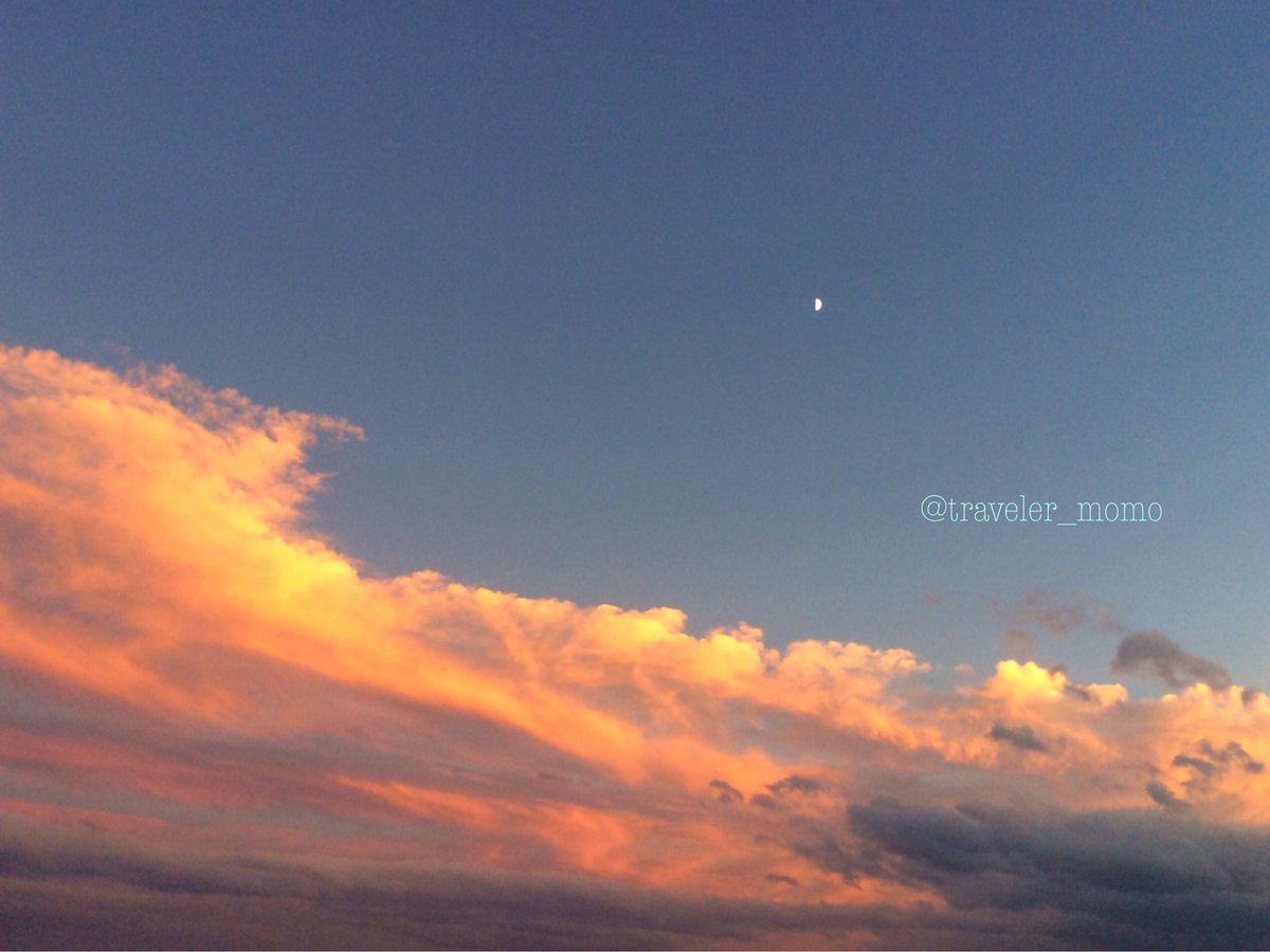 history_bloom's tweet photo. 想うは彼の方

#写真
#空
#月
#雲
#ファインダー越しの私の世界 https://t.co/F9zgaHzxqA