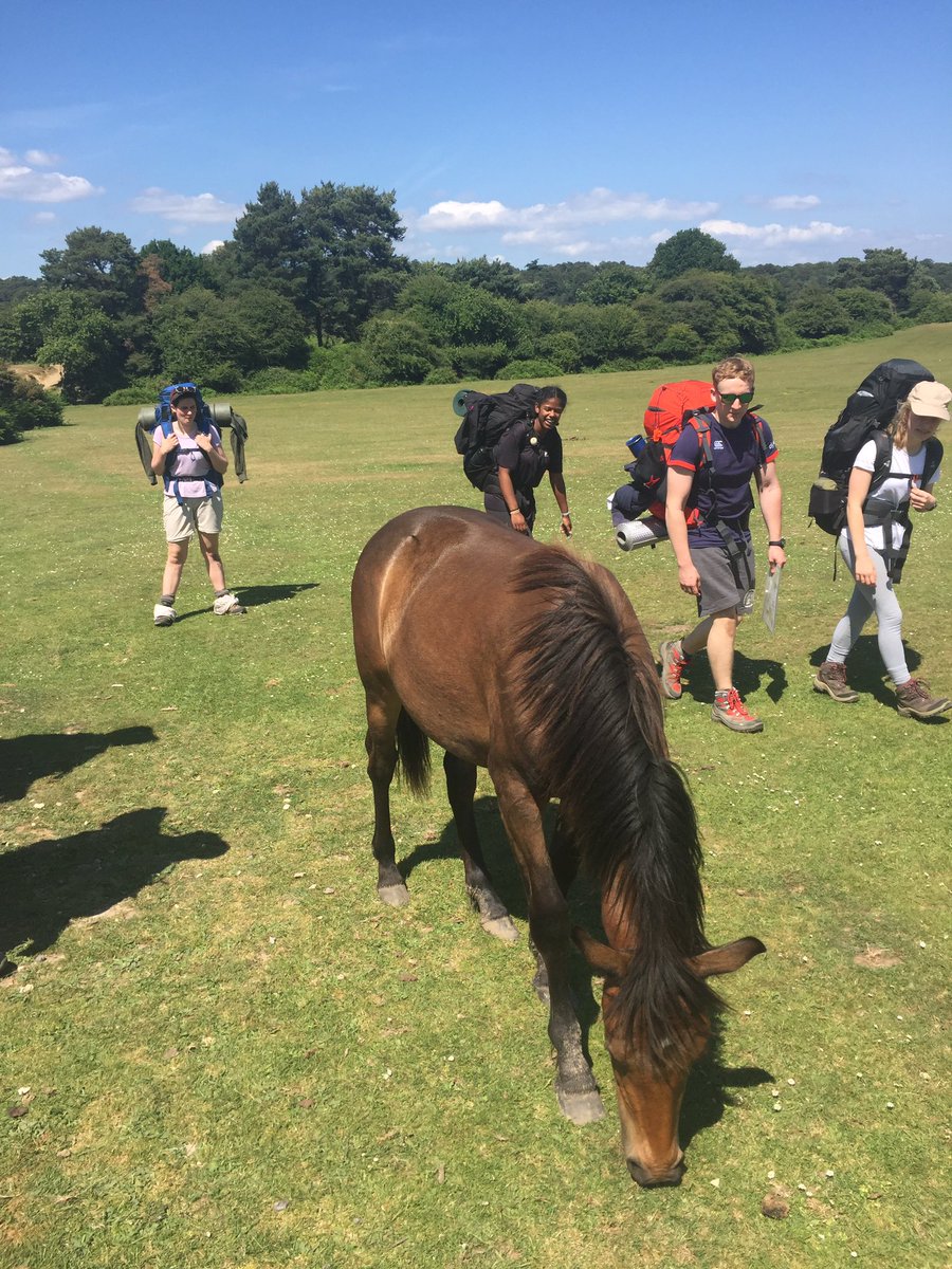 Silver DoE group getting to know the locals. #NewForest #DoE #DukeofEdinburgh