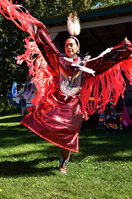 There’s a variety of festivals and events <a href="/ElkIslandNP/">Elk Island National Park, Parks Canada</a> throughout the summer! ow.ly/36s430cwWV0