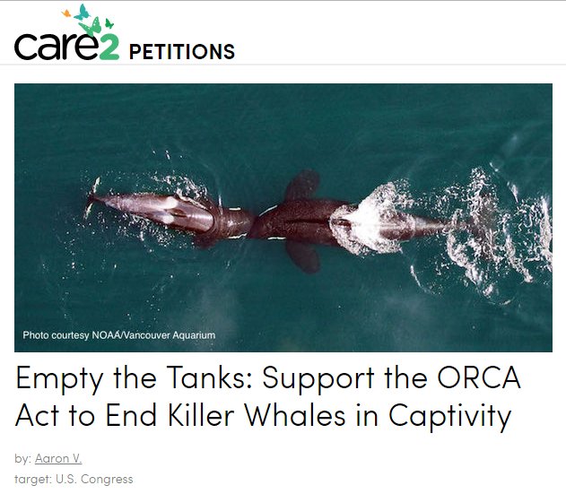 OrcaSOS's tweet photo. JOIN 151.2K
#UScongress Support #ORCAact to End Killer Whales in Captivity
v @care2✏
https://t.co/rLZOne9xer
#Blackfish #CaptivityIsCruel https://t.co/wQJA2wAl1l