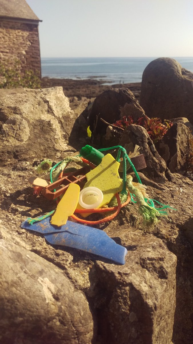 Plastic_Pollution (@plastic_pol_uoe) on Twitter photo Great day out <a href="/WemburyMarine/">WemburyMarineCentre</a>. Running a fantastic campaign to reduce #marinelitter #2minutebeachclean Great day out <a href="/WemburyMarine/">WemburyMarineCentre</a>. Running a fantastic campaign to reduce #marinelitter #2minutebeachclean