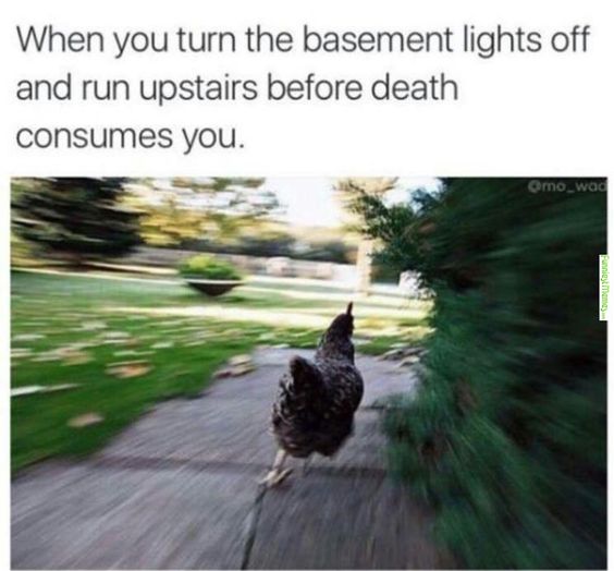 roosterrunstl's tweet photo. #enoughsaid #roosterrun #fast https://t.co/VaaCwWQQOu