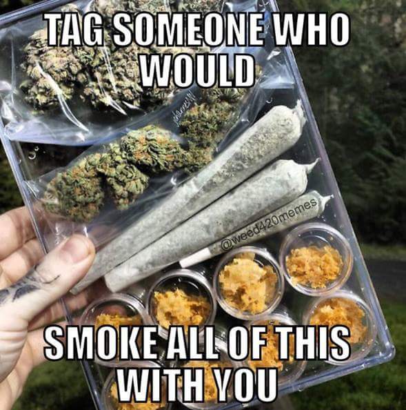 courtneyg420's tweet photo. Yes stonerfam💫🌟💨💨💖 https://t.co/684WLxv3Sr