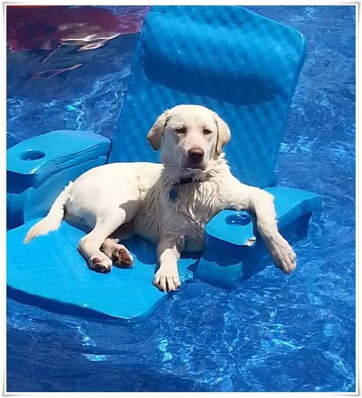 Buon Pomeriggio!   🌊 😊