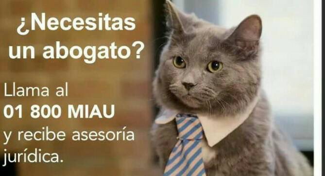 RamiCarreno's tweet photo. Es que está duro el trabajo Parce ..!!! https://t.co/ZhjRVwB4bQ