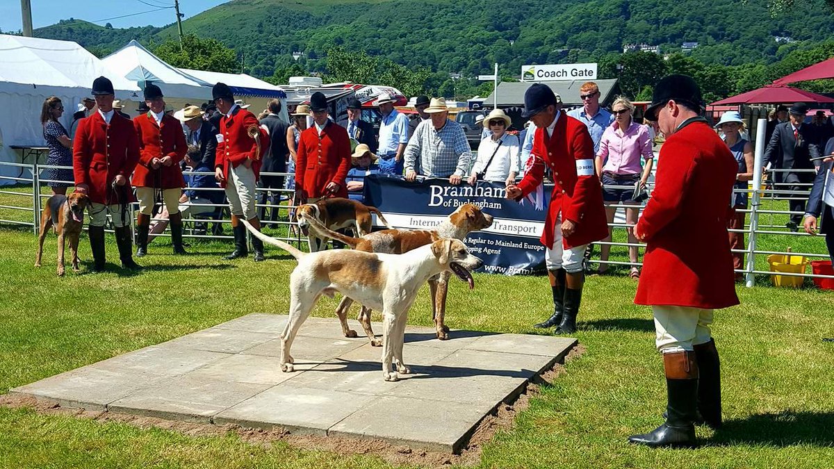 BramhamsBucks's tweet photo. Proud to be Sponsoring the Royal Three Counties Hound Show today.
#Hounds #Malvern #JoinUsOnOurJourney https://t.co/ZqneEe9uZ9