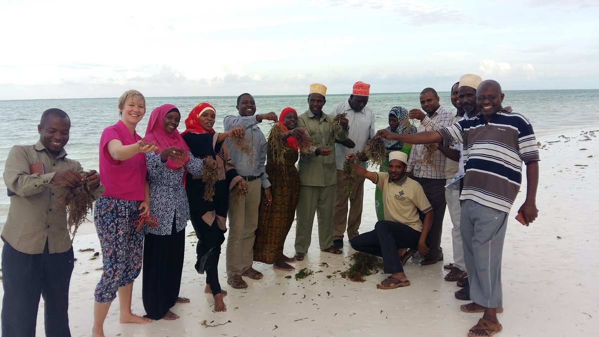 nankimann's tweet photo. #cooperative seaweed farming #ClimateSmart enterprise #Zanzibar #DevolvedClimateFinance @IIED https://t.co/A4X8StzrYb