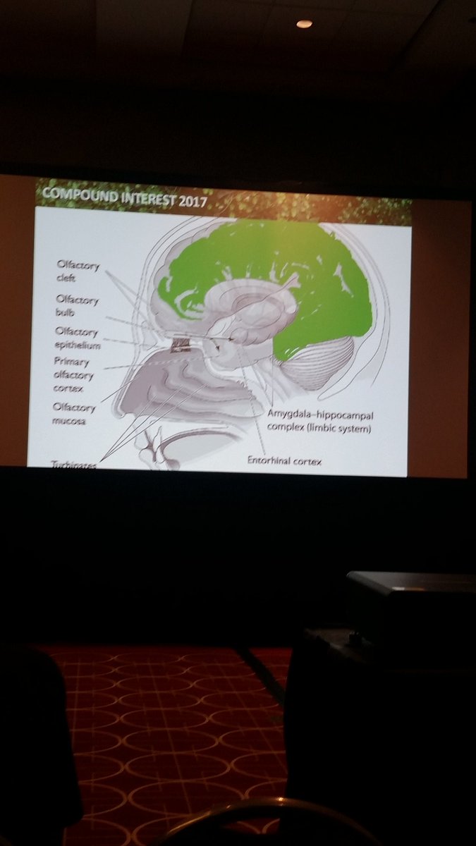 This is your brain on hops. #StanHieronymus #HomebrewCon #homebrewcon2017