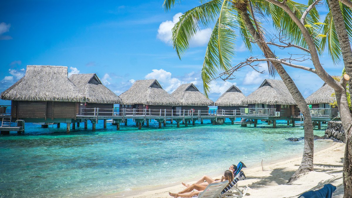 TravelnPleasure tweet picture