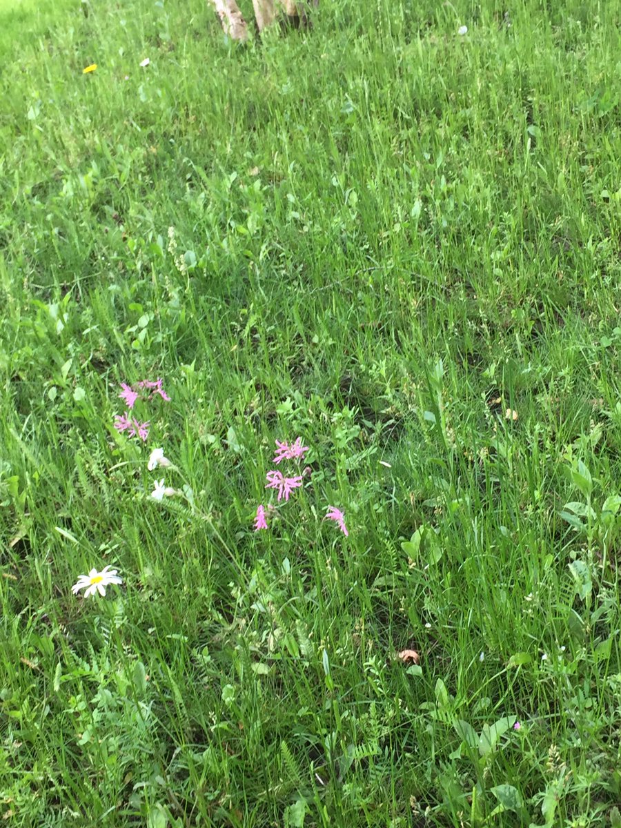 Location Landscapes tweet media