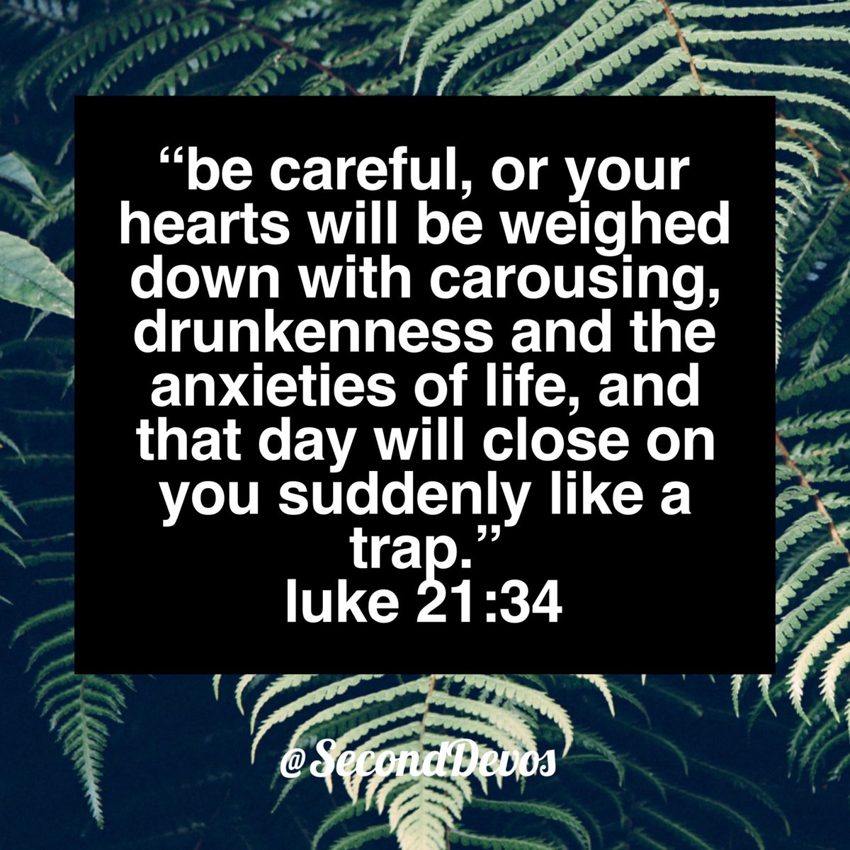 SecondDevos's tweet image. Don't waste your days chasing meaningless pleasure. Invest in eternity. #SecondDevos