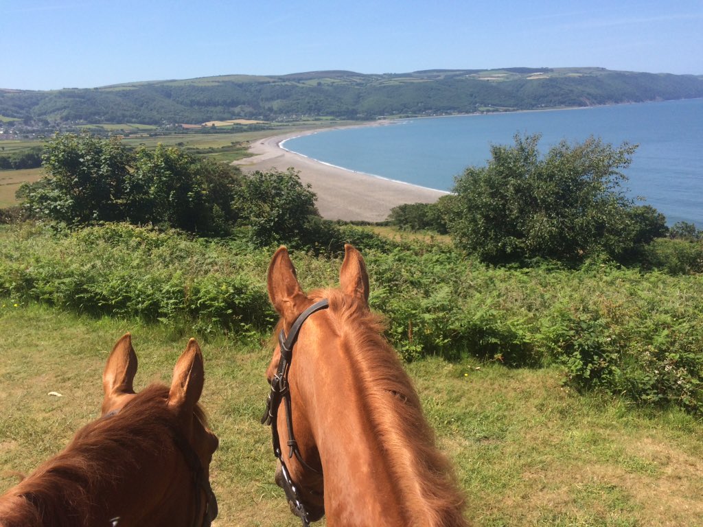 MarinersLodge's tweet photo. Great walk on Shanks' pony or your own! #Porlockbay #seaview #Exmoor #bestB&B #WestPorlock #cometostay #caroline@marinerslodge.info https://t.co/AfDI6UskPk