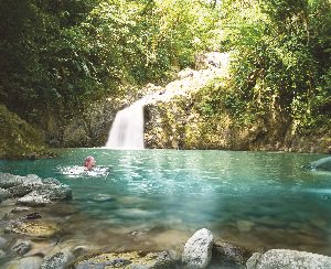 WorldwideTrav's tweet photo. Save up to 10% staying at the 3* Tropikist Beach Hotel, Tobago for 7nts from £769pp - https://t.co/ZERxqxqQc7 https://t.co/i908ozqGHp
