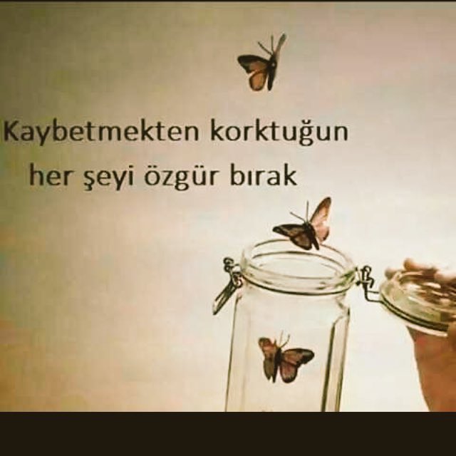 asiklar968's tweet photo. https://t.co/VaQLO6njCv