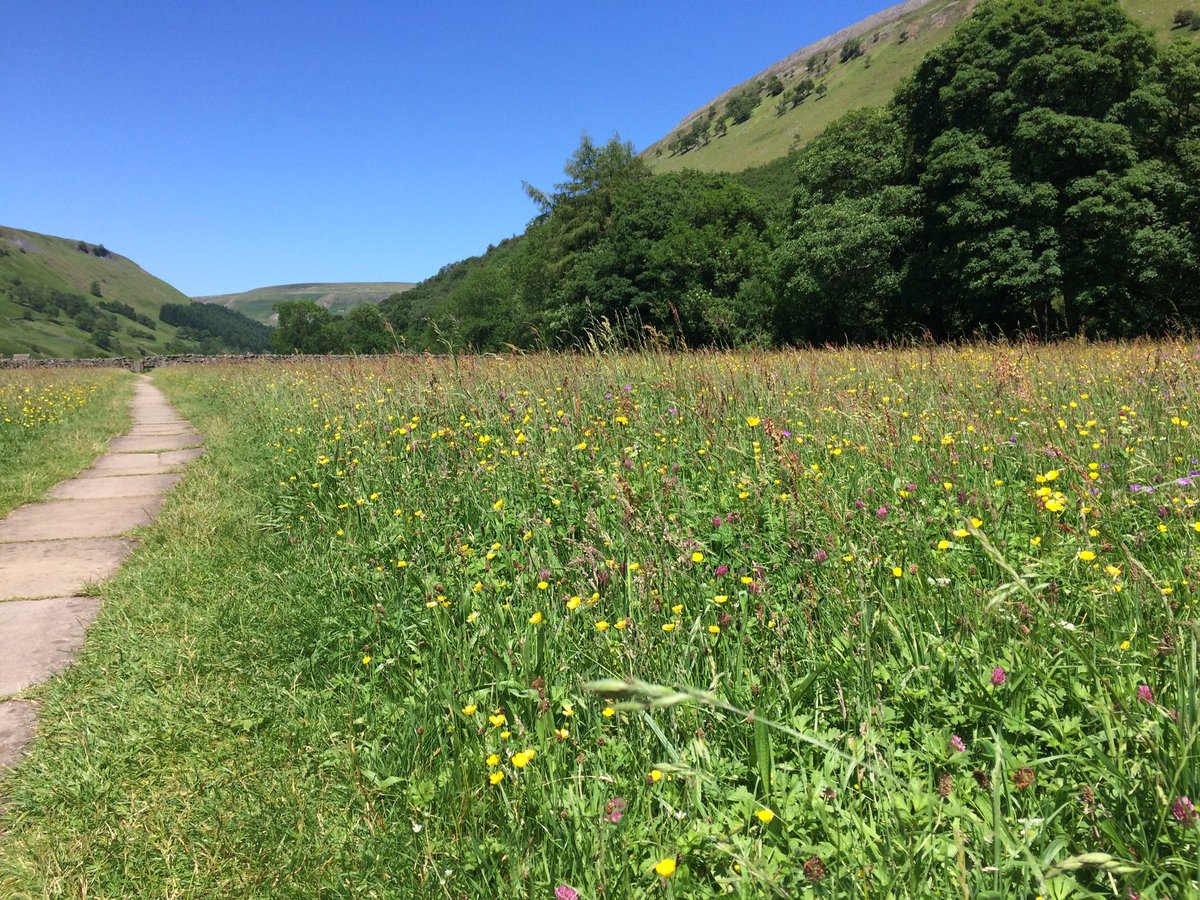Dalesranger tweet picture