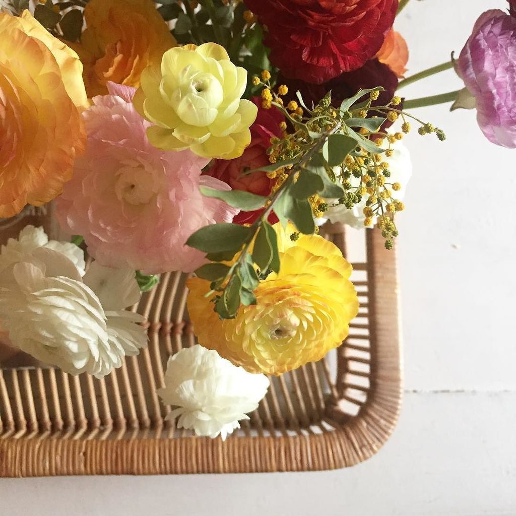 Emily Whittenburg tweet media