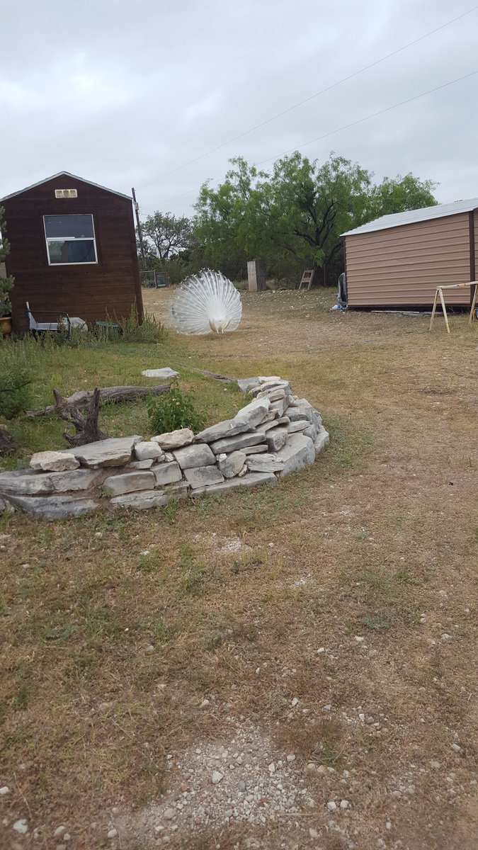 Being a UPS driver in the country has it's benefits.