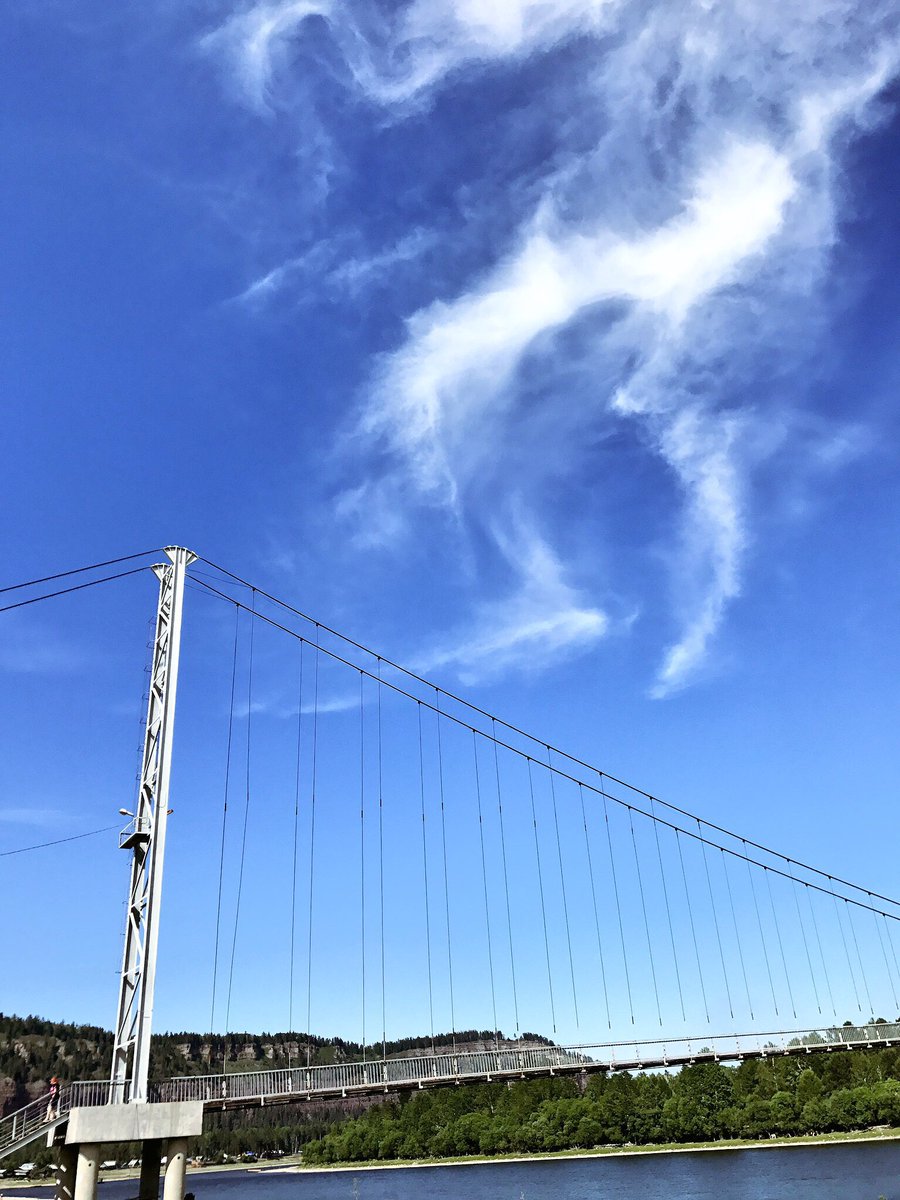 STEMPLINE's tweet image. Немного выходных наших ребят. Перед супер-крутыми новостями и встречами! А как вы проводите свои выходные? Если их чуть больше 2 дней:)