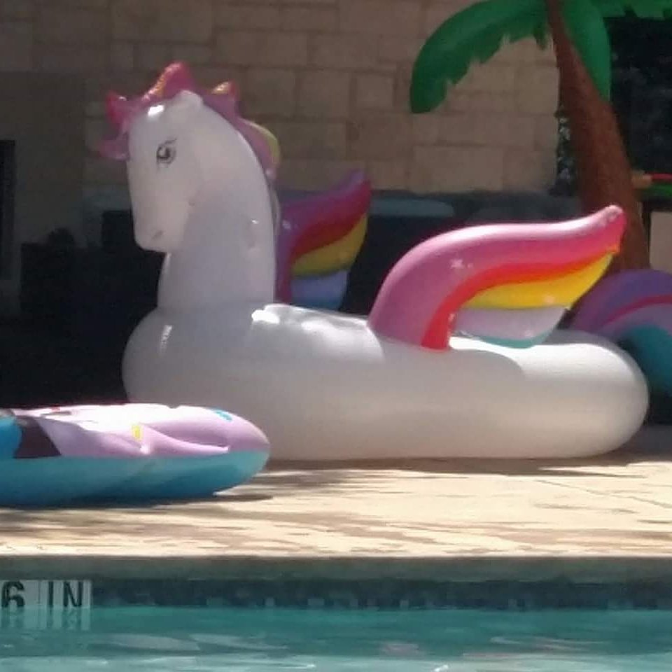 Mix947Austin's tweet photo. honey Ted discovered this magical beast at the pool... #StayCoolATX @fertbottom https://t.co/HKjO2Skc09