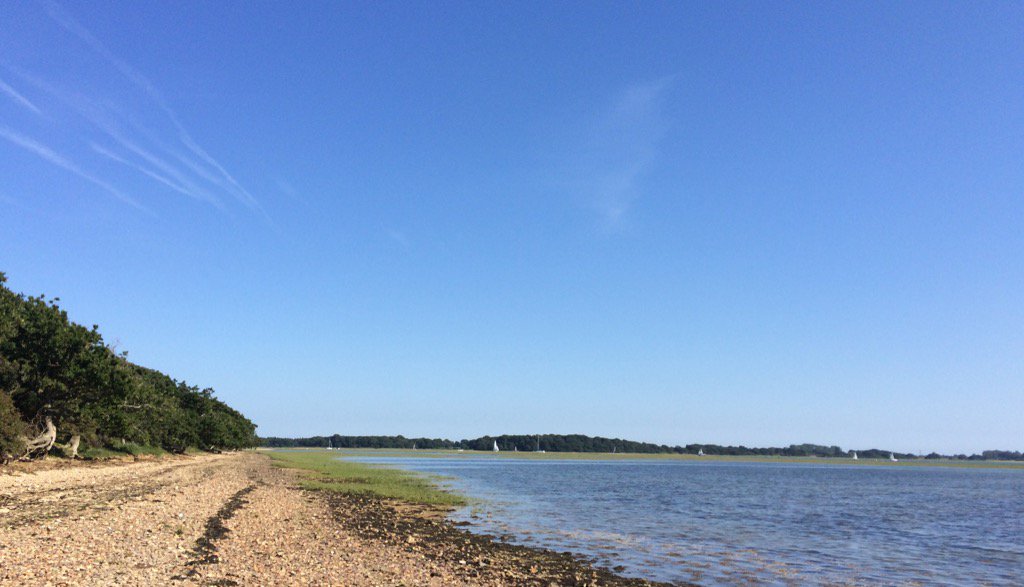 TraceyMcEachran's tweet photo. Rather beautiful on the south coast today #prinstead https://t.co/pCGhOqBsoJ