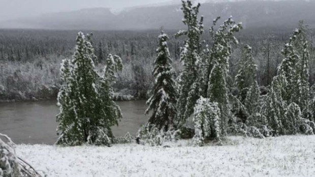 ElynJonesCBC's tweet photo. Snow cancels Yukon-Alaska cycling race for 1,300 riders #Yukon #kcibr #hainestohaines
https://t.co/7Psv4aQ6yg https://t.co/1pXXmwun3O