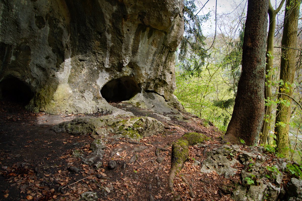 MobMysth's tweet photo. Erlebnispfad Jura - Essing - Rundwanderweg - #Wandern @Altmuehl https://t.co/n346oJVtUT