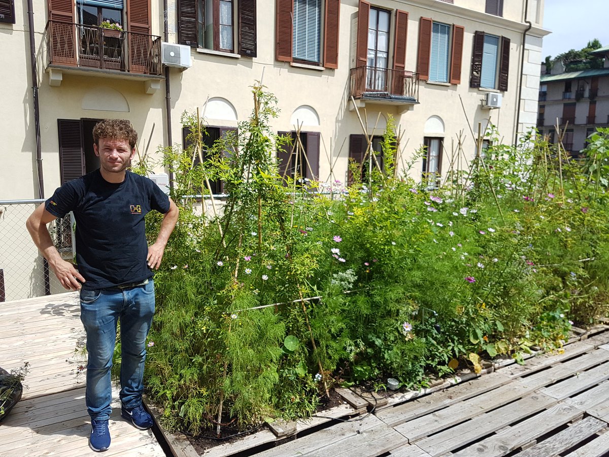 EmilevanRinsum's tweet photo. Op visite op de #rooftopgarden van  #piuarch in #Milaan + de @d_akkers  en de @Dakgaarden gepresenteerd bij de #Archeweek #farmingthecity .. https://t.co/y2qB2Xh0Rd