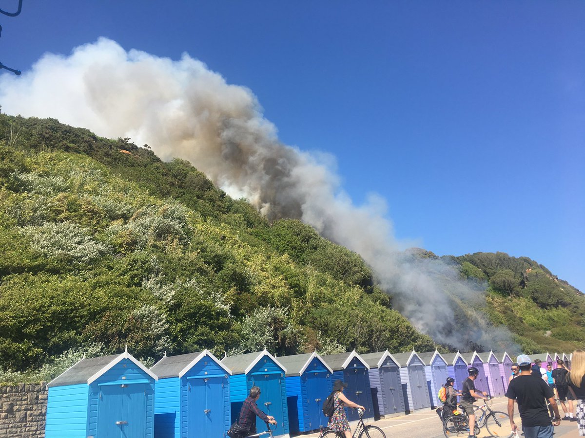 LauraMills6's tweet photo. @bournemouthecho https://t.co/IgtRrWvawp
