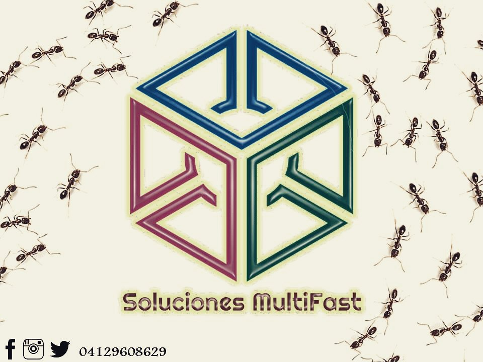 solmultifast's tweet image. Una limpieza exhaustiva de la cocina y asegurándote de que la comida esté guardada en recipientes cerrados es clave para eliminarlas de casa