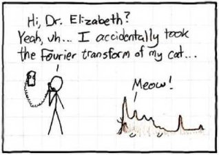 larcons5's tweet image. When you took the Fourier transform of your cat... #fouriertransform #frequencydomain #engineering #cat #meow