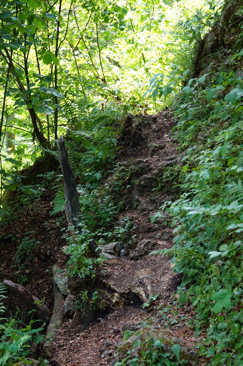 MobMysth's tweet photo. Impressionen #Schambachtal - Rundwanderweg Römerweg Dachssteig Manesteig - #Wandern @Altmuehl https://t.co/Oug0YM2jRW