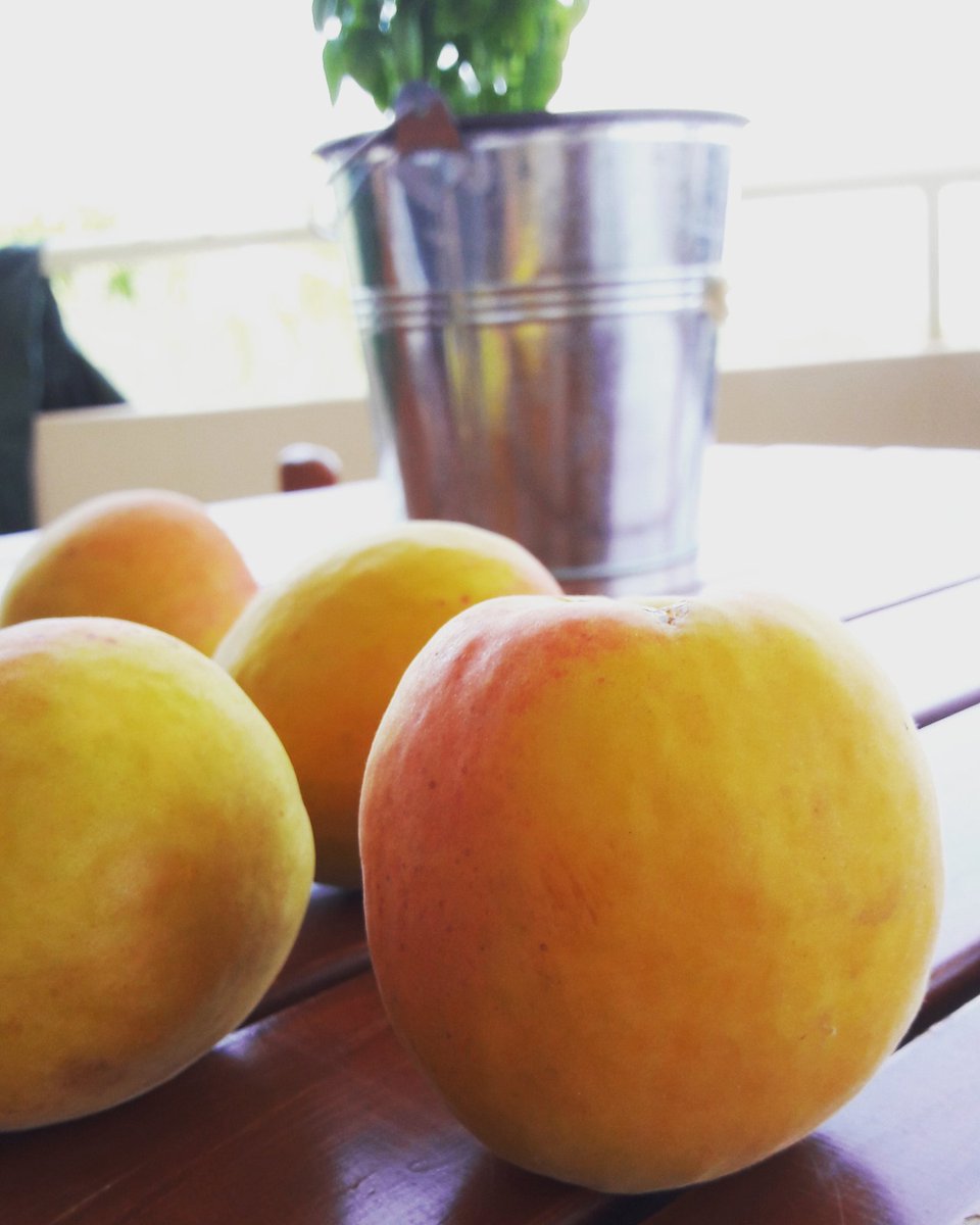 AntwnhsPap's tweet photo. Xl apricots https://t.co/5ruOtnU3D0