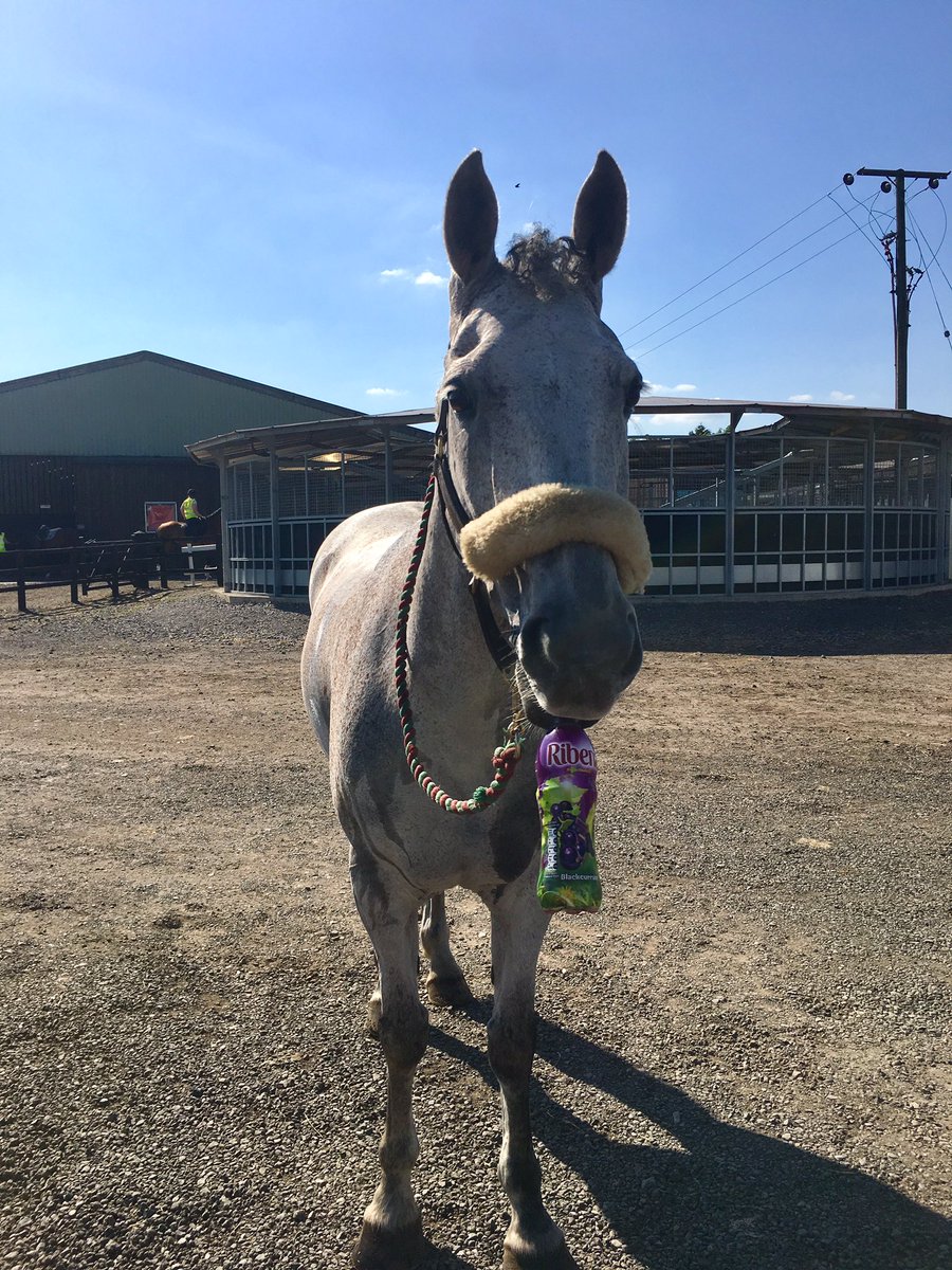 Needham Eventing tweet media