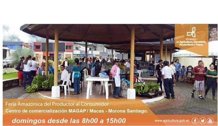 FAmazonica's tweet photo. Quedas invitado este y todos los domingos en la @FAmazonica productos de calidad https://t.co/D8O0SGuxAs