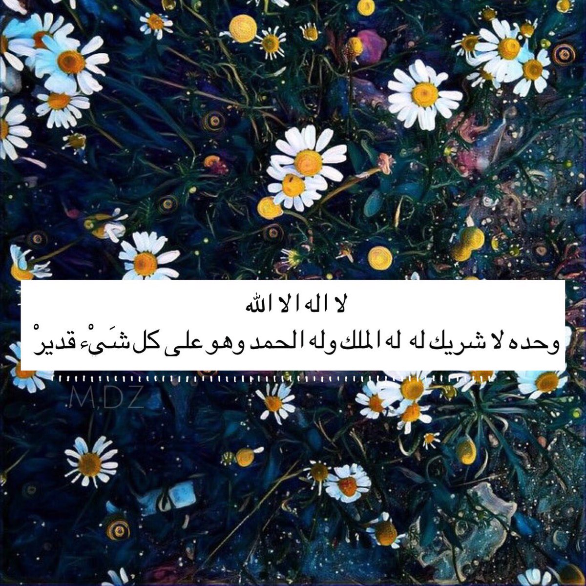 maria____dz's tweet photo. لا اله الا الله ، وحده لا شريك له له الملك و له الحمد و هو على كُلِّ شيء قدير https://t.co/AvR1lKUOzj