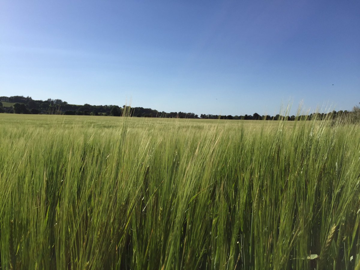 BobFlavin's tweet photo. Today has been a day of being outside. #livethatmoment https://t.co/FZyhFo0jdt